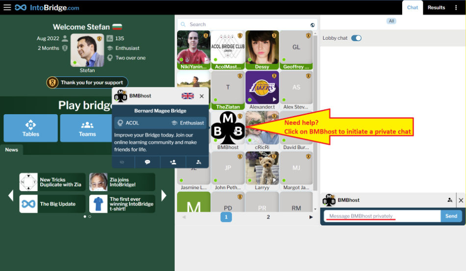 Intobridge howto 9 950