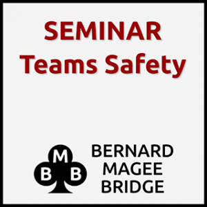 Bmb 320x180 seminar 036 teams safety greysq