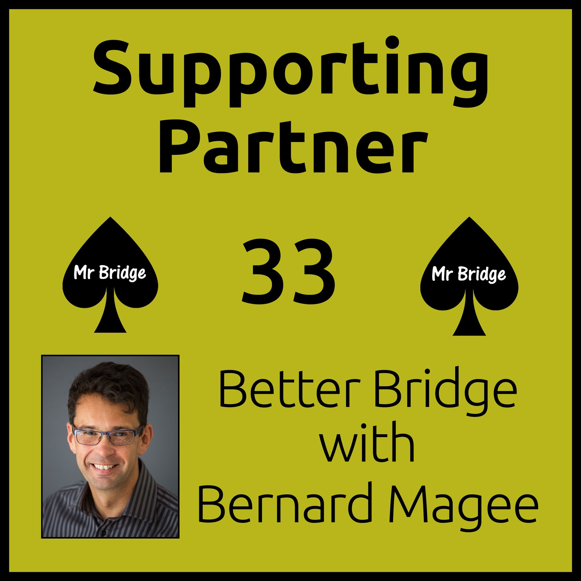Streaming DVD 33 - Supporting Partner