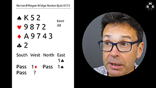 211 Novice Bidding Still S