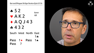 212 Novice Bidding Still S