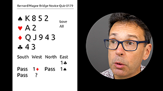 215 Novice Bidding Still S