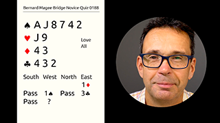 224 Novice Bidding Still S