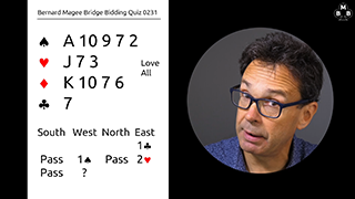 231 Bidding Quiz Still S