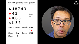 231 Novice Bidding Still S