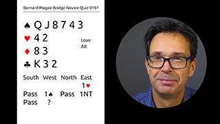 233 Novice Bidding Quiz Still S