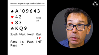 234b Novice Bidding Quiz