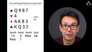 241a Novice Bidding Quiz