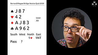 245b Novice Bidding Quiz