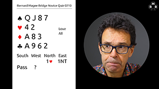 246a Novice Bidding Quiz