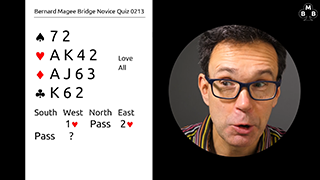 249a Novice Bidding Quiz