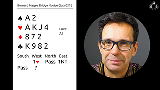 252a Novice Bidding Quiz