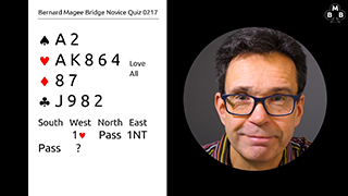 253b Novice Bidding Quiz