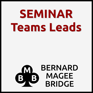 Bmb 320x320 Seminar 072 Teams Leads Greysq