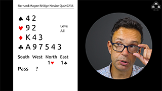 271a novice bidding quiz still s