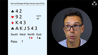 272a novice bidding quiz still s