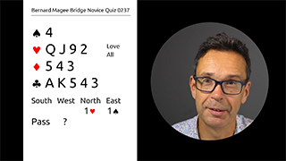 273c novice bidding quiz still s