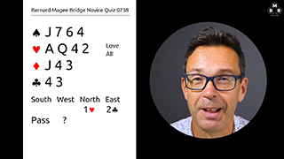 274b novice bidding quiz still s