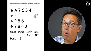 277a novice bidding quiz still s